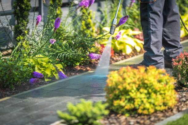 Best Pool Deck Cleaning  in Farmers Branch, TX